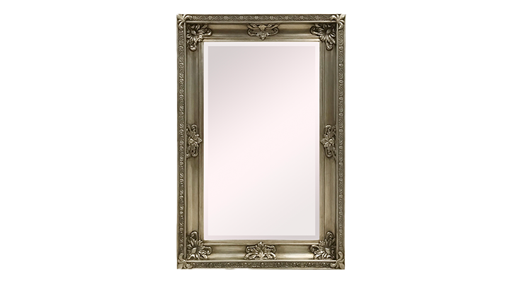 Dapper Silver Mirror 110*160 cm